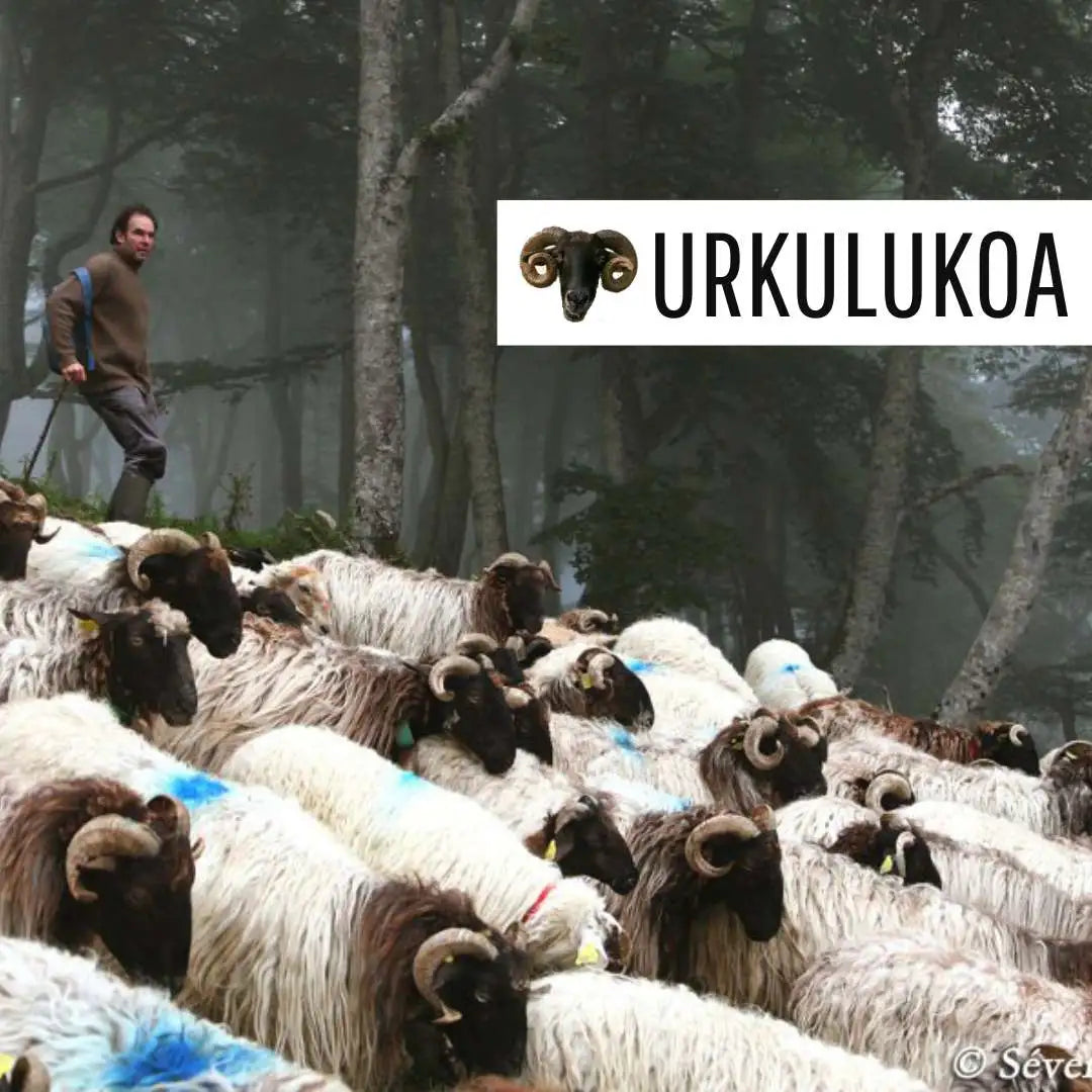 URKULUKOA